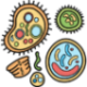 Bacteria icons created by Freepik - Flaticon: flaticon.com