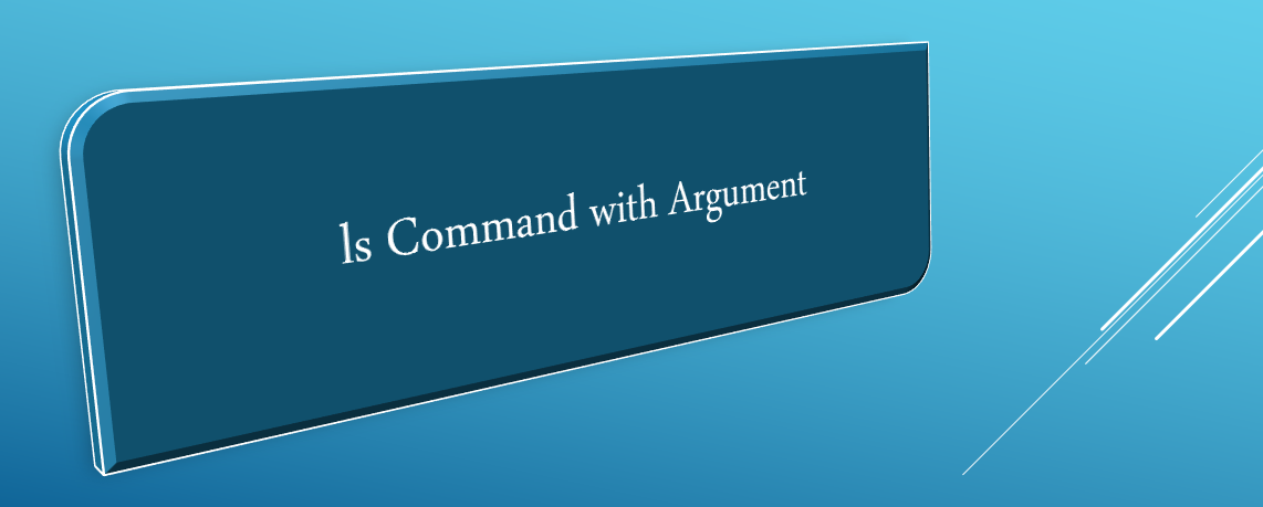 ls Command with Argument