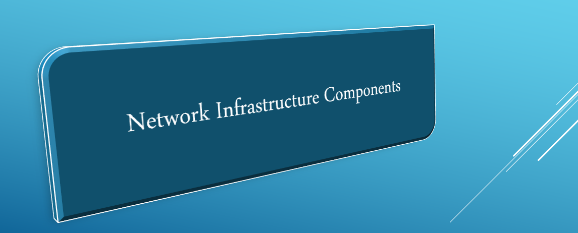 Network Infrastructure Components